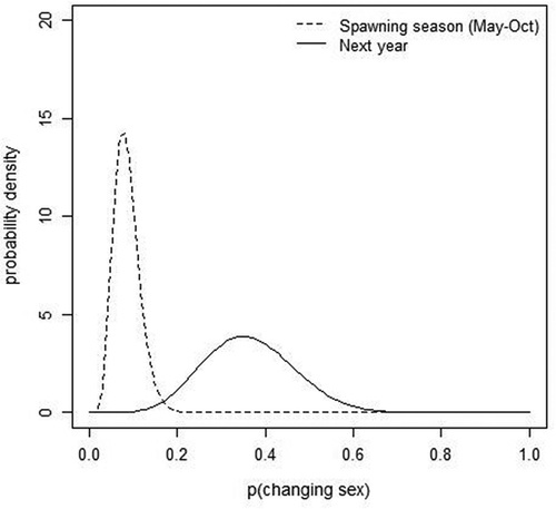 FIGURE 8. Probability density function for the rate (p) of sex change in Black Sea Bass during the spawning season (May–October; dashed line) and between breeding seasons (i.e., between the 2011 and 2012 seasons and between the 2012 and 2013 seasons; solid line). Of the 107 tagged females that were recaptured within the same spawning season, 8 had changed sex or were in transition and 99 remained female; the rate of sex change during spawning months was estimated as 0.07 (95% confidence interval [CI] = 0.03–0.13). Of the 22 tagged females that were recaptured during the next year’s spawning season, 8 had changed sex or were in transition and 14 remained female, suggesting that the rate of sex change between spawning seasons was 0.36 (95% CI = 0.18–0.57).