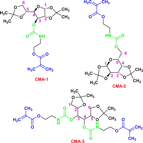 Scheme 1. Structure of the synthesized methacrylated glycomonomers (CMA-1, CMA-2, CMA-3).