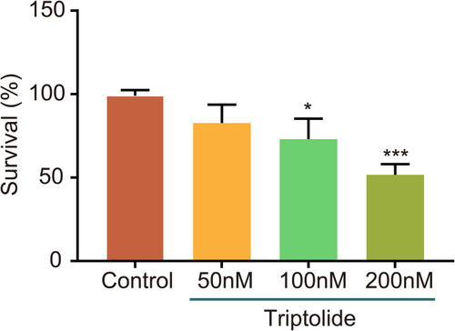 Figure 6 MTT assay of triptolide-treated TPC-1 cells. The curve shows that triptolide inhibited TPC-1 cell growth in a dose-dependent manner. *P<0.05, ***P<0.001.