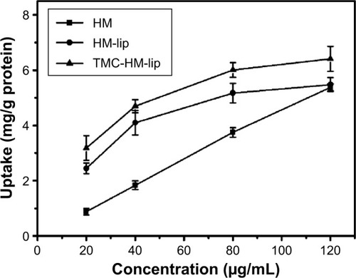 Figure 9 Effect of concentration on the uptake of HM, HM-lip, and TMC-HM-lip (n=3).Abbreviations: HM, harmine; HM-lip, harmine liposomes; TMC, N-trimethyl chitosan; TMC-HM-lip, TMC-coated harmine liposomes.