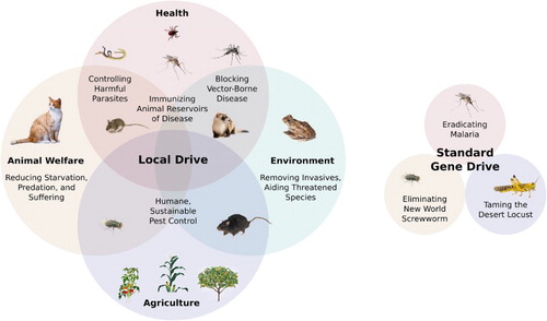 Figure 4. Potential applications of local and standard gene drive systems. Because standard drive systems require agreement from every nation harboring the target species and likely cannot be tested in field trials without a substantial risk of unintended spread, there are only a handful of potentially feasible applications. Malaria is such a terrible scourge that any possible combination of unexpected effects would arguably be preferable to the disease itself. New World screwworm likely causes more animal suffering than any other wild species, is only present in South America, has already been eradicated from North America, and the effects of elimination can be tested locally using sterile insect technique. Desert locusts have been a hated agricultural plague in every culture afflicted since ancient times; they could be altered to remain solitary desert grasshoppers without threatening the existence of the species. Diplomatic and social barriers render other applications of standard drive systems highly unlikely; local drive systems do not necessarily face the problems.