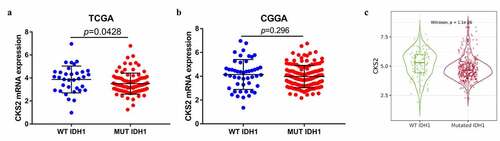 Figure 3. The correlation between the CKS2 mRNA expression and IDH1 mutation status in (a) TCGA database, (b) CGGA database and (c) TIMER2.0 database