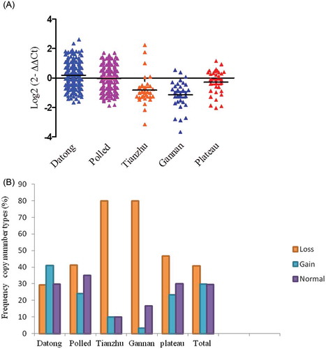 Figure 2. Distributions of the CNV of CHKB gene in five yak breeds. (A) Log2 ratio the grouped scatter plot distribution of the CNVs in five yak breeds which were constructed using GraphPad (PRISM) (n = 475). (B) The frequency of individuals with different relative copy numbers (0 and 1 = loss, 2 = normal and >2 = gain copy number types). Copy numbers were rounded to the nearest integer number.