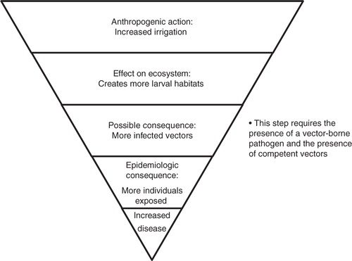 Fig. 1 Framework for how an anthropogenic change may affect vector-borne disease.