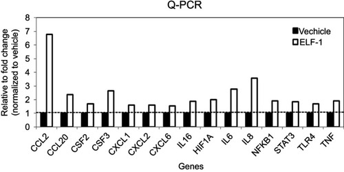 Figure S2 The mRNA expression levels of chemokines in ELF-1-TW01 cell lines and the vehicle control. Fifteen genes revealed ≥1.5-fold upregulation in ELF-1-TW01 cells, compared to vehicle control.