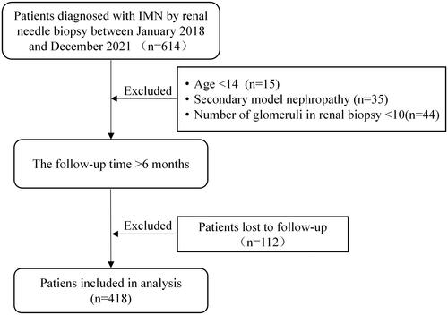 Figure 1. Flow diagram of patient selection. IMN: idiopathic membranous nephropathy.