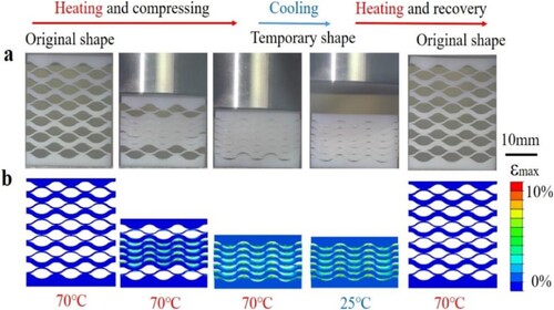 Figure 9. Compressive deformation stages at various cooling, heating and recovery temperatures (a) experimental measurement (b) finite element approximation (Tao et al. Citation2020b).