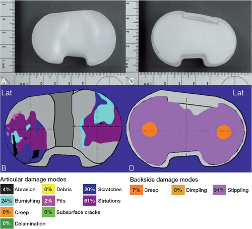 Figure 4. Macroscopic photos, damage patterns, and damage modes on the articular surface (panels A and B) and backside surface (panels C and D) of the left insert.