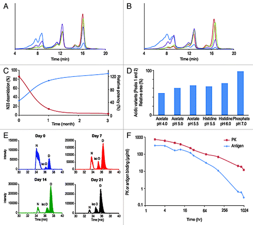 Figure 3. Overlay of IEX-HPLC chromatograms of mAb C samples stored for one month (A) and three months (B) at -80°C, 2–8°C, 25°C and 40°C. Evolution during stability studies of relative amount of deamidation at HCAsn33 (N33, blue trace) and mAb B potency (red trace) (C). The bar graph represents the relative area of acidic variants after one month at 40°C in six different formulations (D). Deamidation at Asn33 in rhesus monkey serum stability studies (E): TIC of the doubly charged ion of peptide 25–39 at day 0, 7, 14 and 21: The peak at ~33–34 min is the early eluting non deamidated parent peptide (Asn33), the two peaks eluting at 34–36 and 35–37 min are the deamidated product peptides (iso-Asp33 and Asp33, respectively). At all-time points the ratio of deamidated product peptides IsoAsp/Asp is the same, ~1:5 throughout the whole experiment. Titration of mAb C in rhesus monkeys serum by an anti-kappa light chain (PK curve) and antigen ligand-capture (Antigen curve) ELISAs after second injection (F).