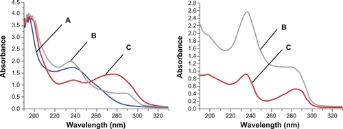 Figure 3 Comparison of UV-Vis absorbance curves in methanol (Left) and water (Right). A) 0.005 mg/mL DEX, B) 0.025 mg/mL DEX-RNTs and C) 0.025 mg/mL RNTs. There is no UV absorbance curve of DEX only in water, because DEX precipitates in water.Abbreviations: RNT, rosette nanotubes; DEX, dexamethasone.