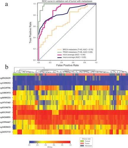 Figure 5. Validation of tumor specific classifier in tumors with metastases. (a) ROC curve of multiclass tumor specific classifier in metastatic breast cancer (GSE58999) and metastatic prostate cancer (GSE73549 and GSE38240). (b) Unsupervised clustering of the DNA methylation level for the 12 CpGs in the samples of normal prostate, prostate tumor and prostate tumor with metastases (GSE73549 and GSE38240). Annotations of the column on the heatmap indicate disease states of patients. Average linkage and Bray-Curtis distance were implemented in clustering. T indicates the numbers of tumor samples with metastasis used in each dataset.