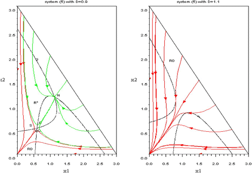 Figure 5. Left: the green trajectories are filling the domain R* of coexistence and converging to the equilibrium N. The red trajectories converge to (0, 0) and fill the domain R 0. The boundary of R 0 and R* consists in the two stable trajectories of the saddle point S. Right: the domain R 0 is the whole domain Ω. Available in colour online.