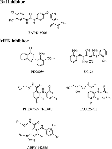 Figure 2. Specific inhibitors of the extracellular signal‐regulated kinase (ERK) pathway. Raf inhibitor: BAY 43‐9006. MEK inhibitors: PD98059, U0126, PD184352 (CI‐1040), PD0325901, ARRY‐14886.