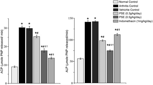 Figure 6. Effect of PSE and standard drug on serum ACP and ALP level in FCA induced arthritis. Values shown are mean ± SE (n = 6). Value significantly different vs: *naïve rats (no FCA; Normal Control); #Arthritis and Vehicle-Treated Controls; ‡0.3 PSE rats or †IND rats (among FCA-injected rats that received drug treatments) (p ≤ 0.05).