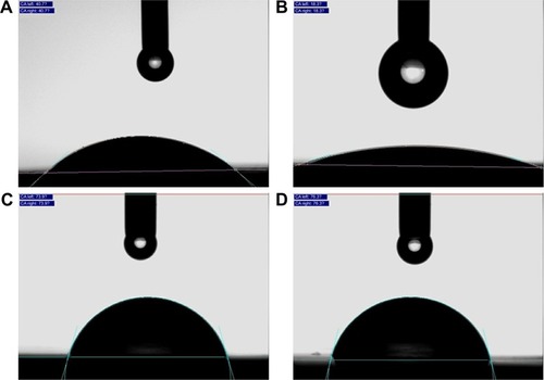 Figure 5 Water contact angles of the samples.Note: The (A) AO samples and (B) AOC samples showed better hydrophilia than (C) SLM samples and (D) MP samples.Abbreviations: AO, anodic oxidation; AOC, anodic oxidation composited with electrochemical deposition; SLM, selective laser melting; MP, mechanically polished.