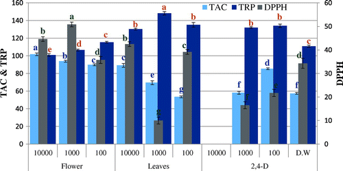 Figure 2. DPPH radical scavenging activity (% inhibition), total antioxidant capacity (TAC μg AAE/mg D.W), and reducing power (TRP μg AAE/mg D.W) of allelopathic plantlets exposed to O. bracteatum Wall leaves and flowers at varying concentration along with 2,4-D and dH2O.