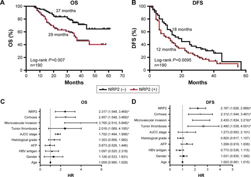 Figure 2 Prognostic significance of NRP2 expression in HCC patients.