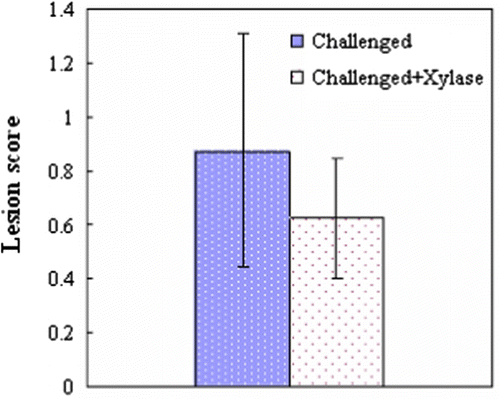 Figure 1.  Intestinal lesions of broiler chickens at 21 days of age, 1 day post C. perfringens challenge. Values are the mean and pooled standard error of the mean, n=12 chickens/group; P=0.090.