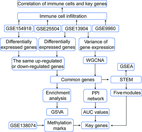 Figure 1 Flowchart of this study. The following datasets were used for the identification of potential diagnostic genes and mechanisms associated with the development of sepsis: GSE13904 (children), GSE25504 (children), GSE9960 (adults) and GSE154918 (adults).