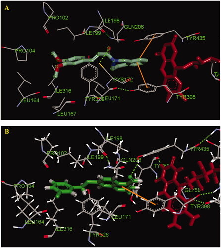 Figure 4. (A) Compound 5a (green stick) interacted with residues in the binding site of hMAO-B (PDB code: 2V60). (B) The selective inhibitor 7-(3-chlorobenzyloxy)-4-carboxaldehyde-coumarin interacted with residues in the binding site of hMAO-B (PDB code: 2V60).