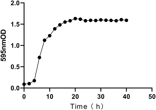 Figure 1 The growth curve of ATCC 33591.