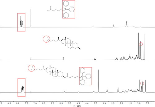 Figure 2. 1H NMR spectra of TPP, Cholesterol and CT in CDCl3 solution. The characteristic peaks are pointed out by red circle and red rectangle.