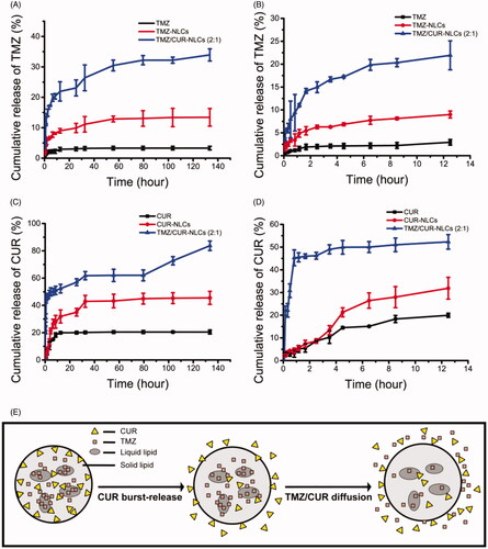 Figure 2. (A) In vitro drug release profiles of TMZ within 140 h and (B) 12.5 h. (C) In vitro drug release profiles of CUR within 140 h and (D) 12.5 h. (E) Proposed mechanism of sequential drug release.
