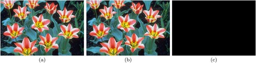 Figure 19. Tulips, (a) source image (b) decrypted image (c) image depicting difference in (a) and (b).