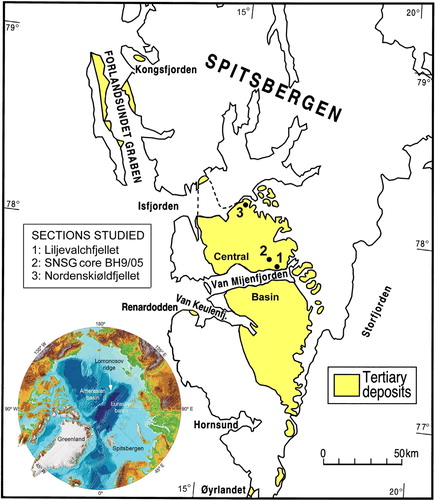Fig. 1 Position of the Palaeogene Central Basin of Spitsbergen and location of the studied sections. Spitsbergen is the main island of the Svalbard Archipelago. This article is based on the Store Norske Spitsbergen Grubekompany (SNSG) core section BH9/05.