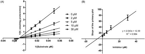 Figure 4. Lineweaver–Burk plots (A) and the secondary plot for Ki (B) of inhibition of DHM on CYP3A4 catalyzed reactions (testosterone 6β-hydroxylation) in pooled HLM. Data are obtained from a 30 min incubation with testosterone (20–100 μM) in the absence or presence of DHM (0–30 μM). The data represent the mean of the incubations (performed in triplicate).