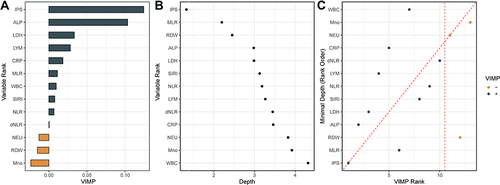 Figure 5 Variable importance (VIMP) and minimal depth (MD) from random survival forest analysis for cardiovascular mortality. (A) VIMP plot. Positive values indicate that including that variable in the model decreased the model’s error, whereas negative values indicate an increase in error. (B) For minimal depth, low values indicate that variable has stronger predictive value. (C) Comparison of the VIMP ranking and MD. Dashed vertical lines show the selected thresholds for variable selection. The farther the points are from the diagonal line, the more the discrepancy between measures; points above have higher VIMP ranking, indicating the variables are more sensitive to misspecification; those below have higher MD ranking, indicating they are better at dividing large portions of the population.