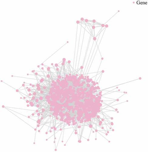 Figure 6. Illustration of protein-protein network for plasma-derived exosomes of patients with gall bladder cancer