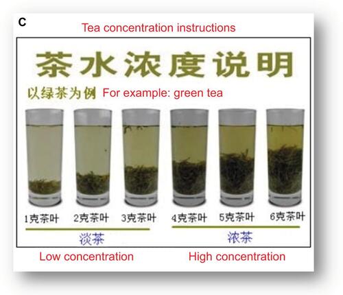 Figure S1 Questionnaire of tea drinking and the related sample images.Notes: (A) The translated questionnaire of tea drinking. *Temperature of the tea: 1) very hot – drink immediately (less than 1 minute); 2) hot – wait for a few minutes before drinking (1–5 minutes); and 3) warm – wait for more than 5 minutes before drinking (more than 5 minutes). (B) The related sample images – the display of tea cup size, and (C) the instruction for defining tea concentration (original text with translations included).