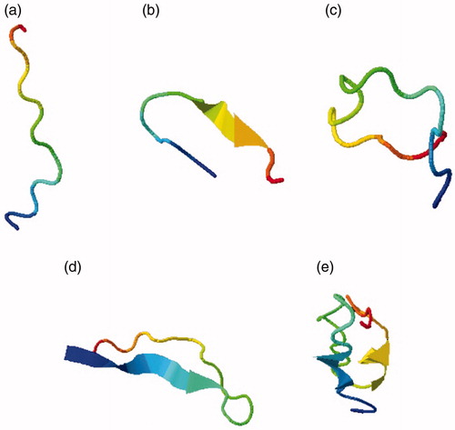 Figure 1. CDR structures of the VEGF nanobody obtained from I-TASSER. (a) CDR1 structure. (b) CDR2 structure. (c) CDR3 structure. (d) CDR1,3 structure. (e) CDR1,2 structure.