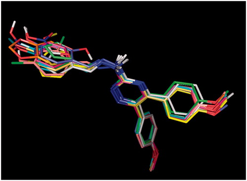 Figure 3. Superimposition of ligands in the COX-2 binding pocket.