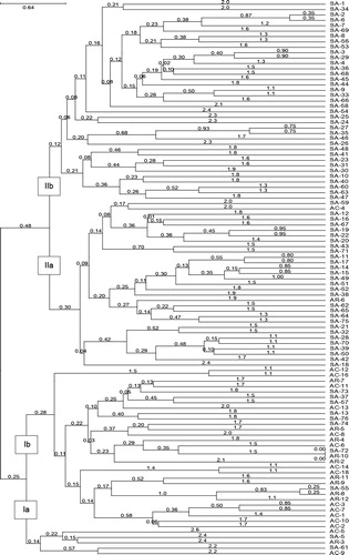 Figure 1: Dendrogram revealing genetic relationships among 103 sorghum genotypes from South Africa based on SSR analysis of Euclidian similarity coefficients with UPGMA clustering. Ia, Ib, IIa and IIb are subgroups within the clusters