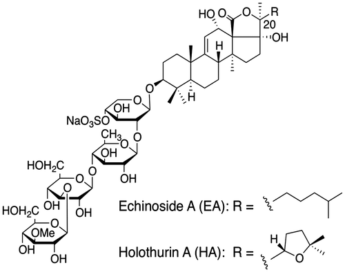 Fig. 1. Structures of echinoside A (EA) and holothurin A (HA).