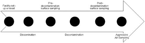 Figure 2. Timeline of events within each round.