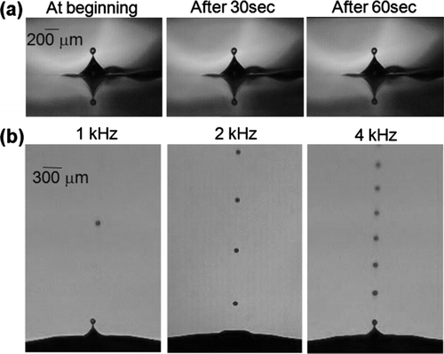 FIG. 8 (a) Optical photographs of stable and continuous acoustic ejections. (b) Optical photographs of droplet ejections at the ejection rates of 1, 2, and 4 kHz.