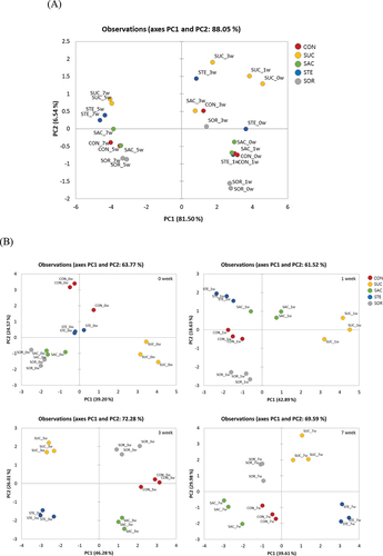 Figure 2. Principal component analysis (PCA) score plots derived from the metabolite data of kimchi samples fermented with or without sweeteners. (a) PCA score plots derived from the metabolite data for each day of fermentation. (b) PCA score plots derived from the metabolite data of kimchi with or without sweeteners at 0, 1, 3, and 7 weeks of fermentation. PC1, principal component 1; PC2, principal component 2; CON, radish kimchi with no added sweetener; SUC, radish kimchi with sucrose; SAC, radish kimchi with sodium saccharin; STE, radish kimchi with stevioside; and SOR, radish kimchi with sorbitol.