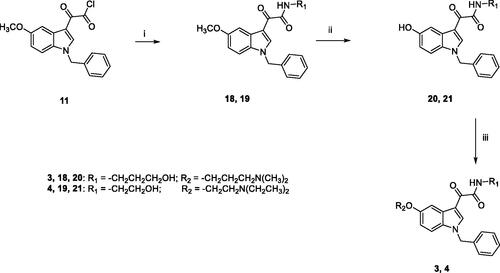 Scheme 2. Reagents and conditions: (i) 1,4-dioxane, 3-amino-1-propanol (for 18) or ethanolamine (for 19), room temperature, 3 h; (ii) (a) anhydrous DCM, BBr3, −10 °C, 30 min.; (b) room temperature, overnight; (iii) anhydrous DMF, Cs2CO3, 3-dimethylamino-1-propylchloride hydrochloride (for 3) or 2-chloro-N,N-diethylethylamine hydrochloride (for 4), 60 °C, 5h.