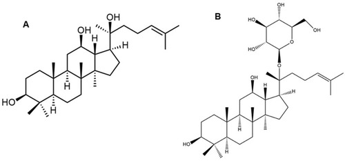 Figure 1 Chemical structure of (A) 20(S)-protopanaxadiol (PPD), an aglycone form of ginsenosides and (B) Compound K.