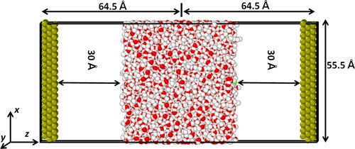 Figure 1. Representation of the simulation system of the constant potential method MD simulations; Left and right-side electrodes are negative and positive electrodes respectively. Colour scheme: Red-O, white-H, green-Pt.