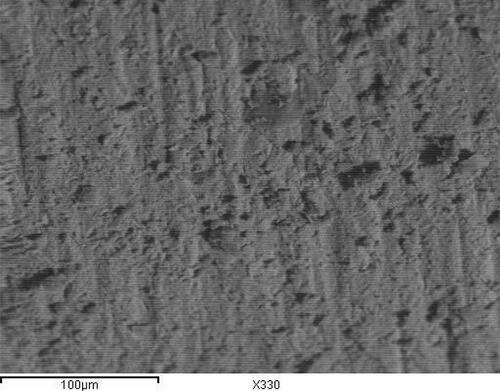 Figure 11 Photomicrograph of silica coated cosmoposts surface.