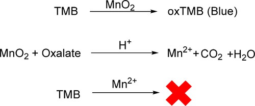 Figure 13. Schematic illustration for the detection of oxalate. The chromogen reagent TMB will not be oxidized to oxTMB with Mn2+, thus resulting in the color difference.