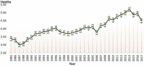 Figure 4. Paddy yield from 1985 to 2017 in Malaysia.