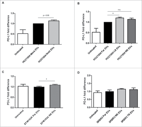 Figure 5. Treatment with EVs from NmU-overexpressing and HER2-targeted drug-resistant variants increases PD-L1 expression. (A) and (B), HCC1954 Par cells were treated with EVs from different HCC1954 cell variants (20 µg EV/1 × 105 cells) for 48 hr. PD-L1 surface staining was then analyzed by flow cytometry. (C), Same as in A for EFM192A cells. (D), Same as in (A) for SKBR3 cells. Results represent averaged replicates of at least 3 independent experiments and are expressed as fold difference with respect to cells treated with EVs from parent cell variants, which is considered to be equal to 1. *p < 0.05.