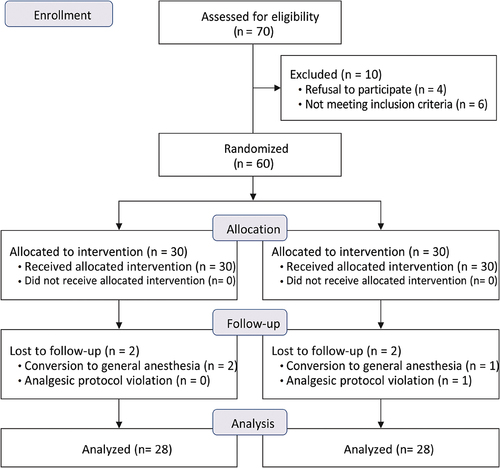 Figure 3. Flow chart of the studied cases.