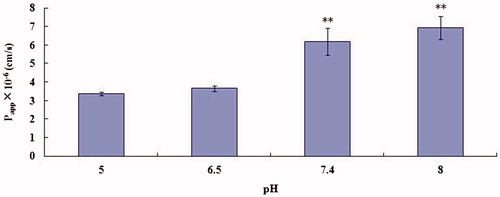 Figure 5. Effect of pH on OMT (10−4 M) transport across MDCK cell monolayers. Transport of OMT was measured at 37 °C for 30 min. Asterisks signs denote significant differences; **p < 0.01 versus control (pH 5).
