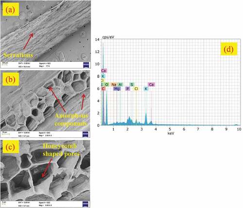 Figure 6. (a-c) fesemimages of LLFs showing different surface morphologies (d) EDS analysis of LLF.